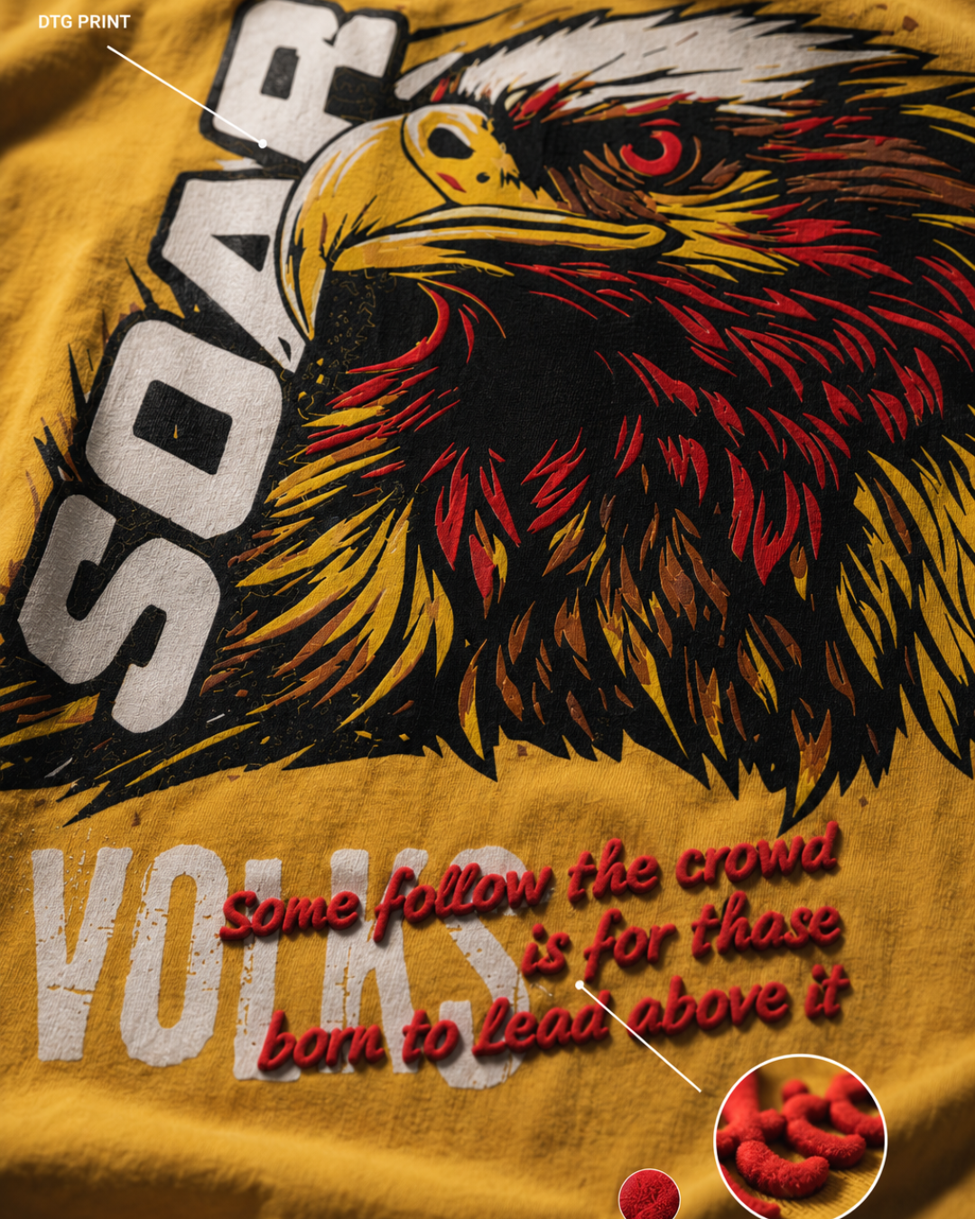 soar zoom soar zoom